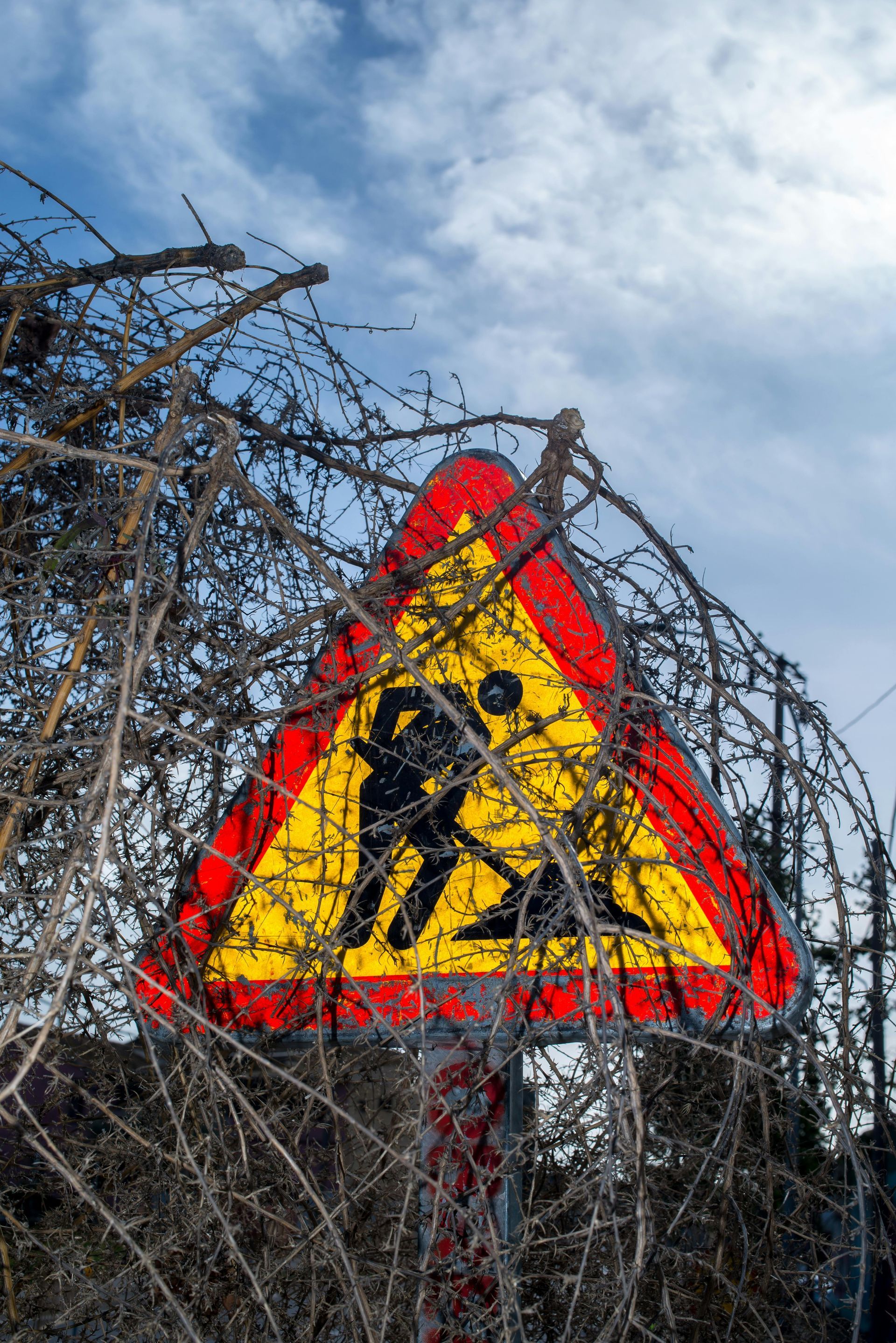 A yellow and red sign is surrounded by barbed wire.