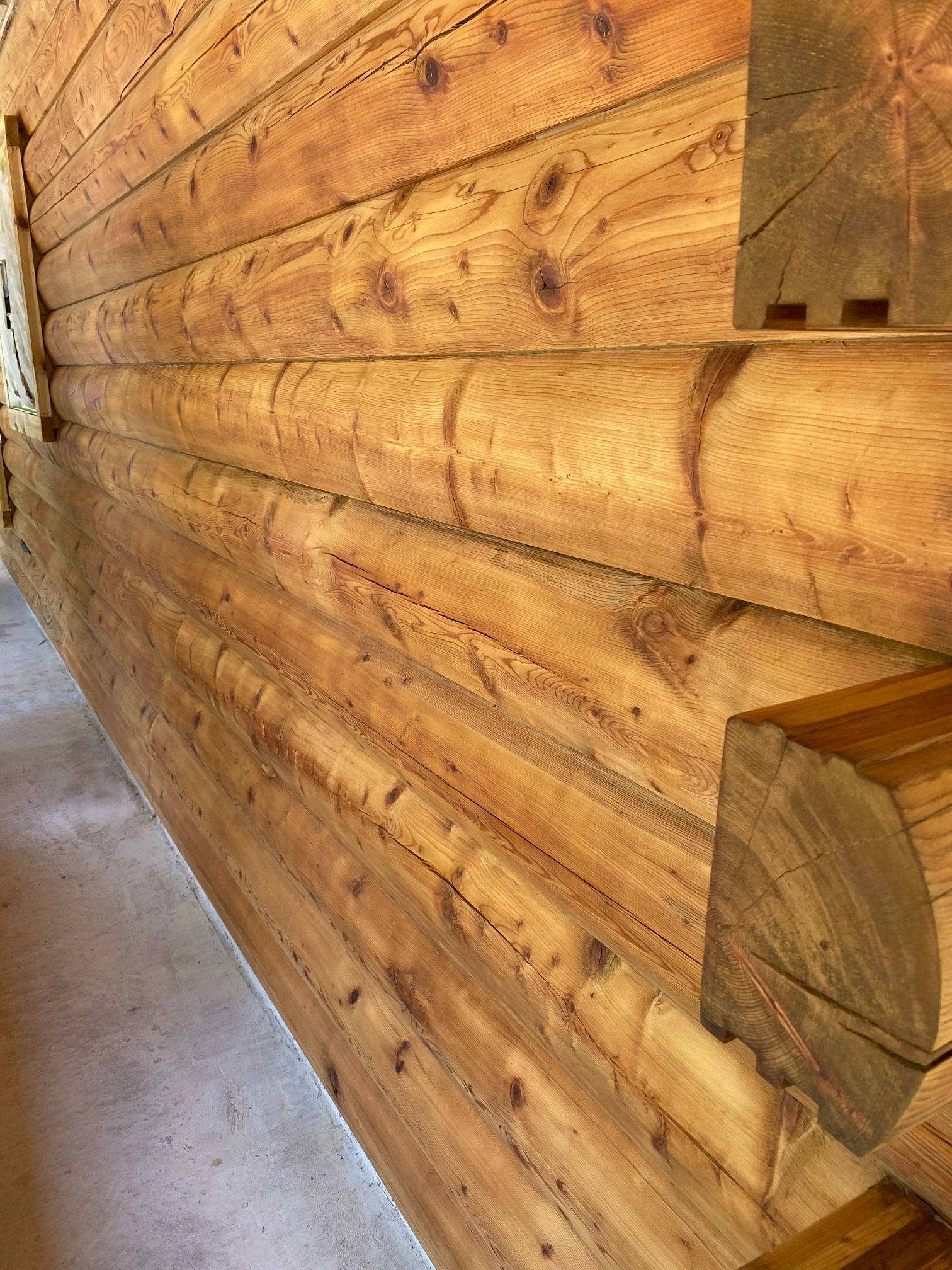 A close up of a log wall in a log cabin.