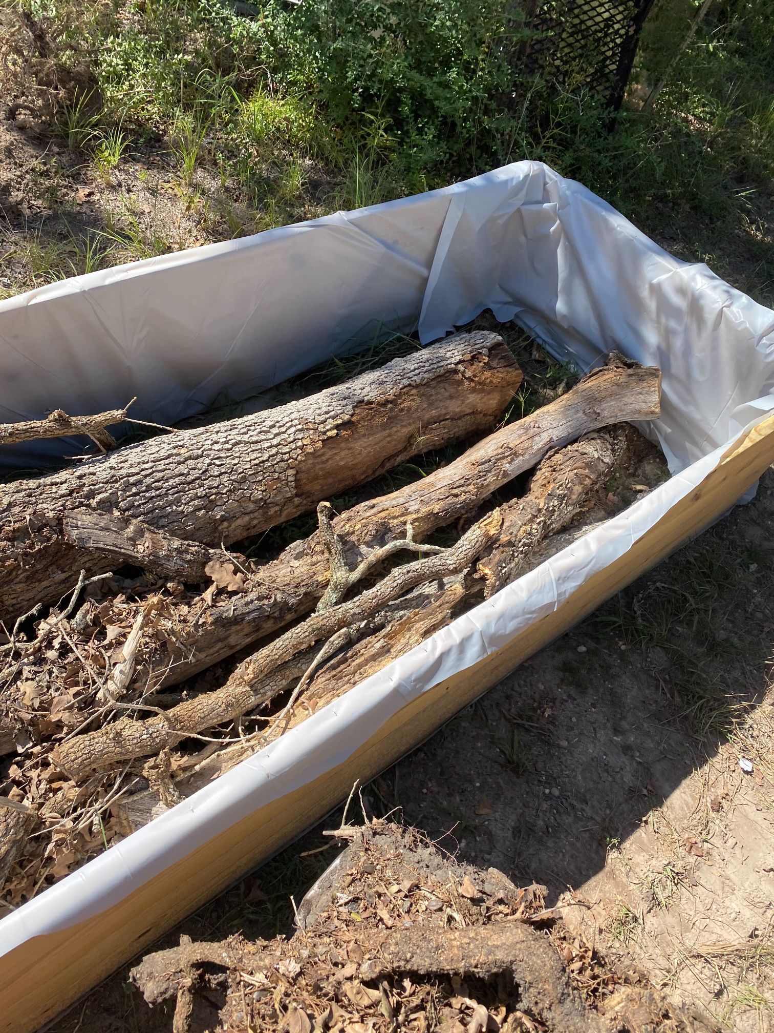 A pile of logs in a plastic container on the ground.