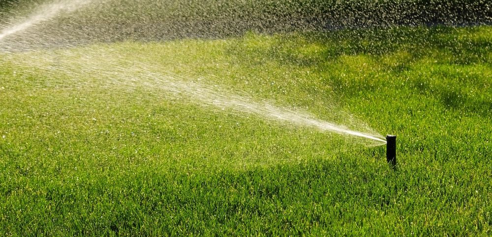 A sprinkler is spraying water on a lush green lawn.