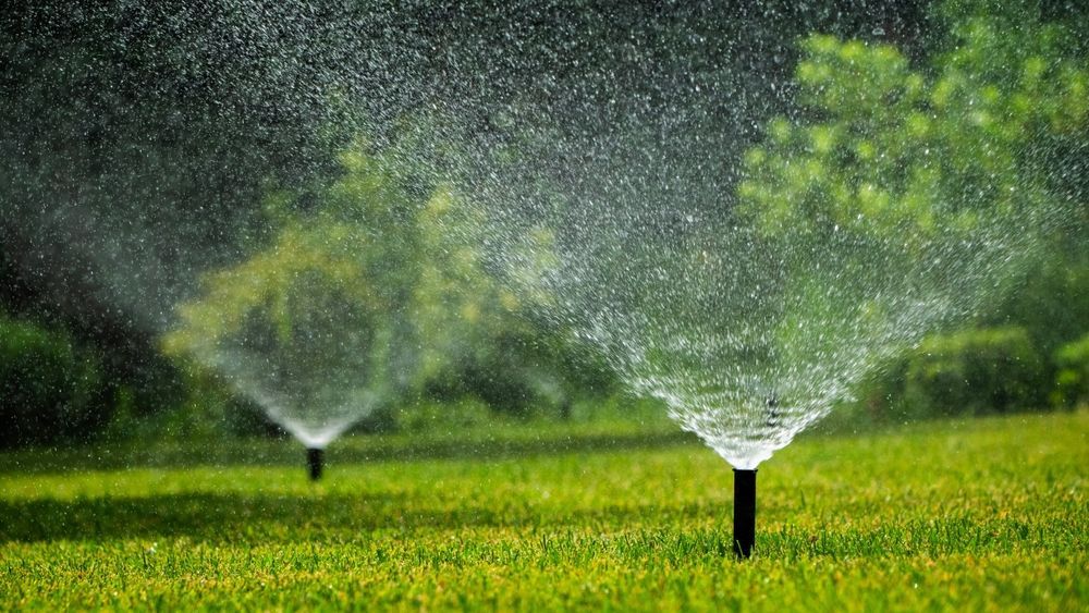 Two sprinklers are spraying water on a lush green field.