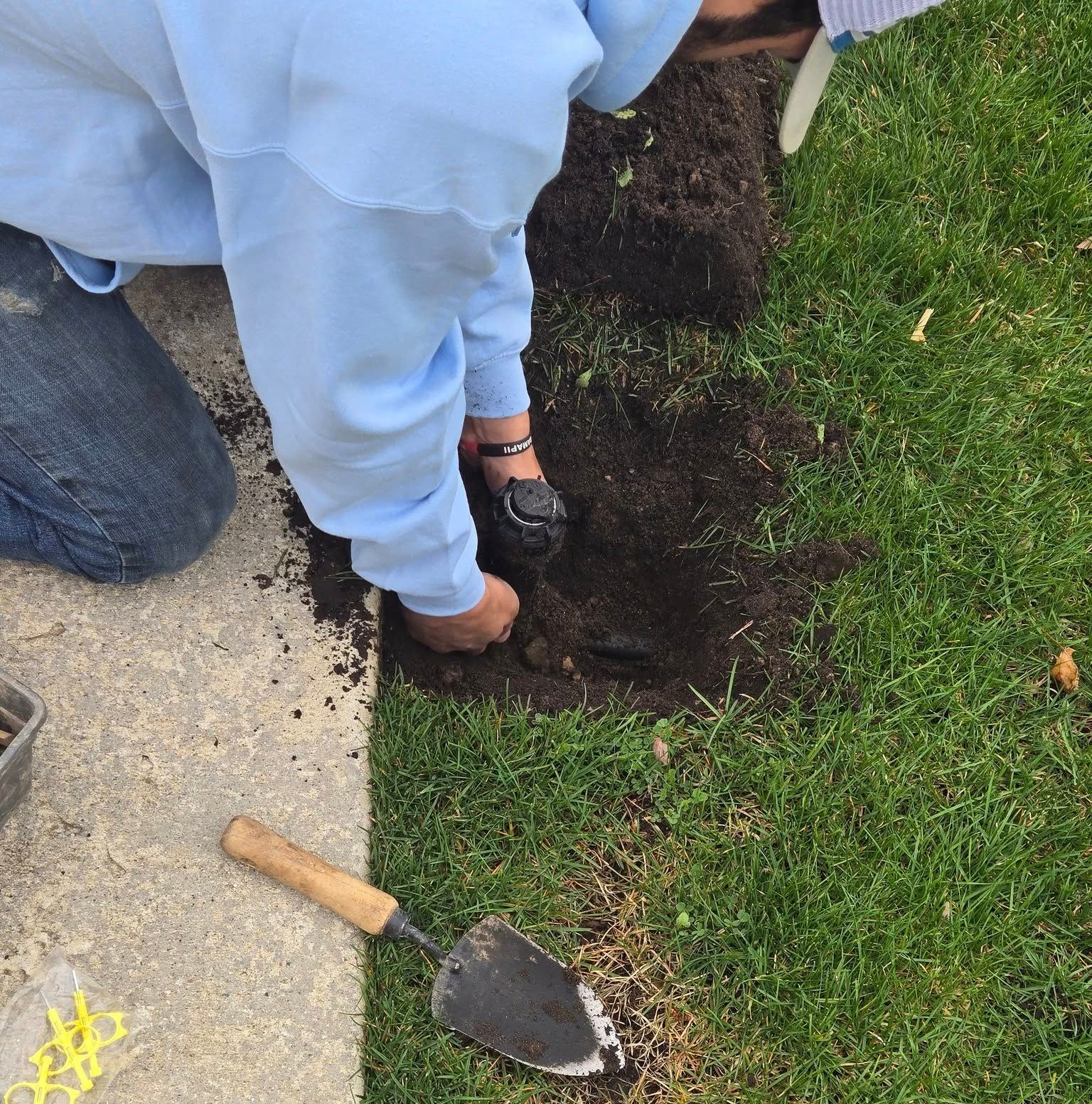 Person kneeling, planting in dirt near a concrete edge and grass, using a trowel.
