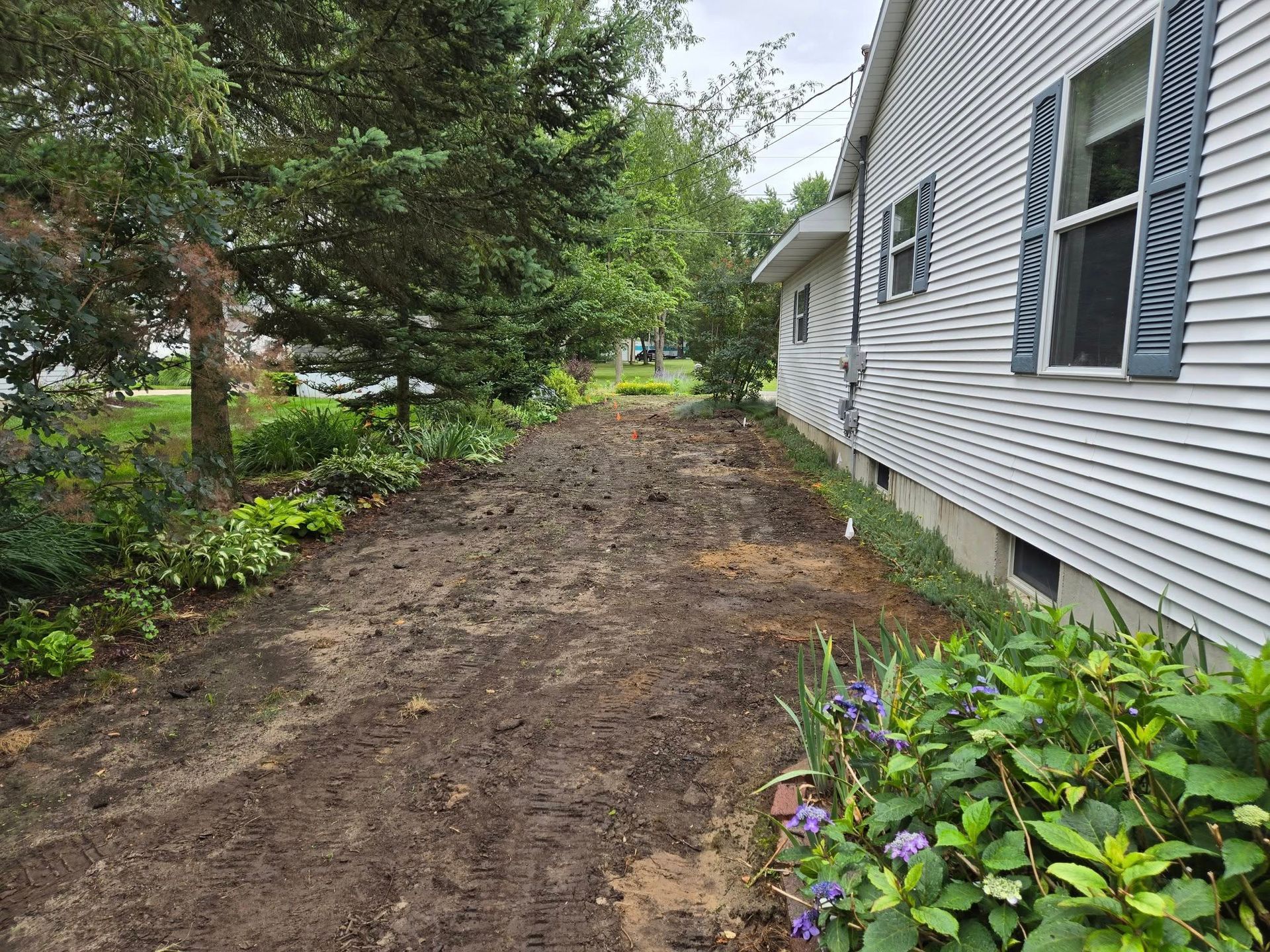 Muddy yard next to a white house with blue shutters and green plants, trees.