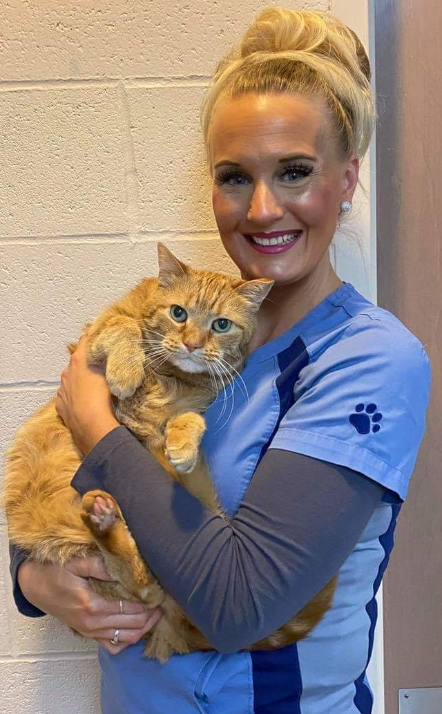 Joanna, Reception Staff - Transit Animal Hospital Clarence, NY