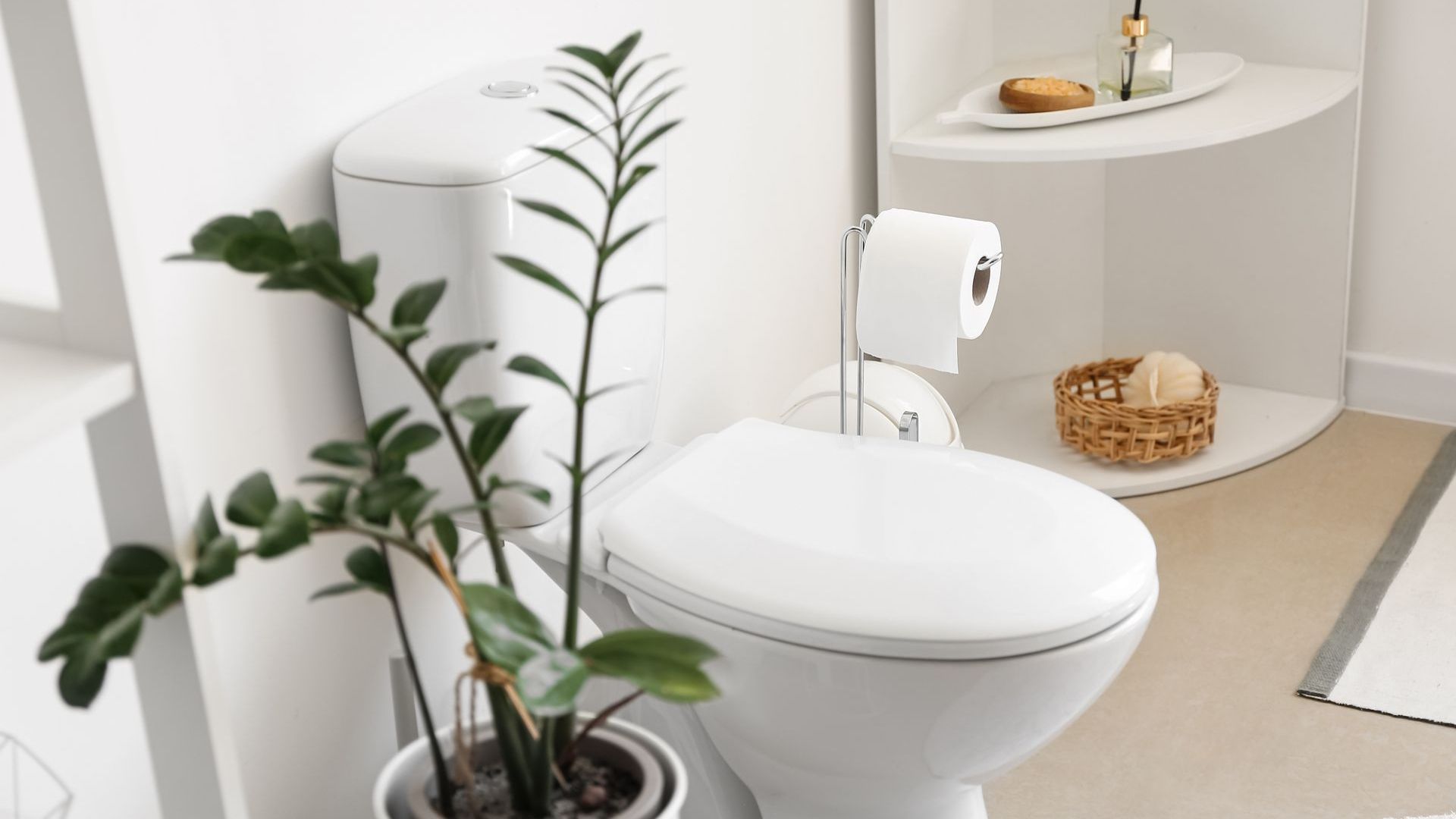 A potted plant is sitting next to a toilet in a bathroom.