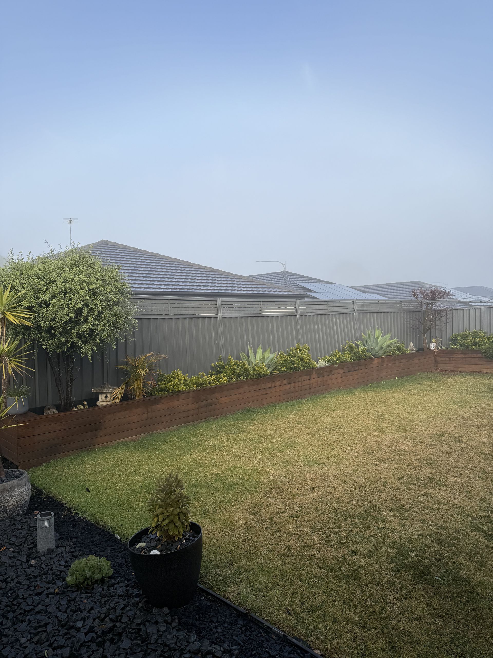 A lush green lawn with a fence in the background and a potted plant in the foreground. — JOA - Construction & Maintenance in Campbelltown, NSW