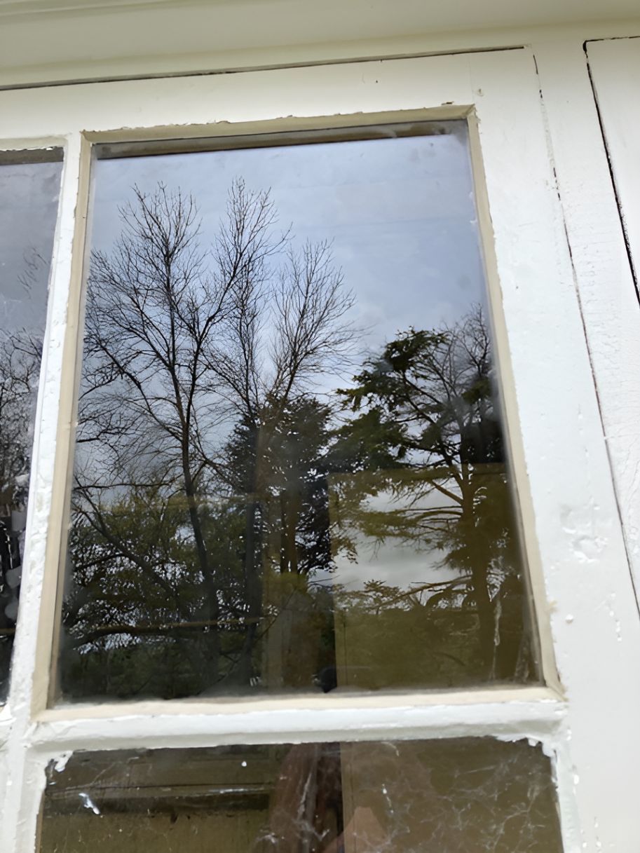 A Close Up of a Window With Trees Reflected in It — Canobolas Glass Service In Orange, NSW