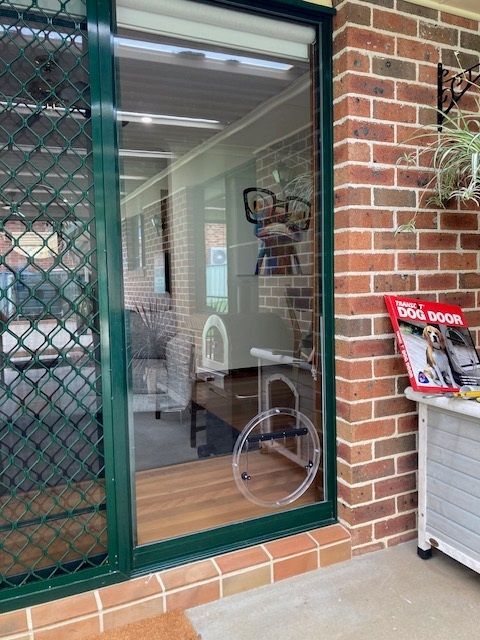 Circular Pet Door — Canobolas Glass Service In Orange, NSW