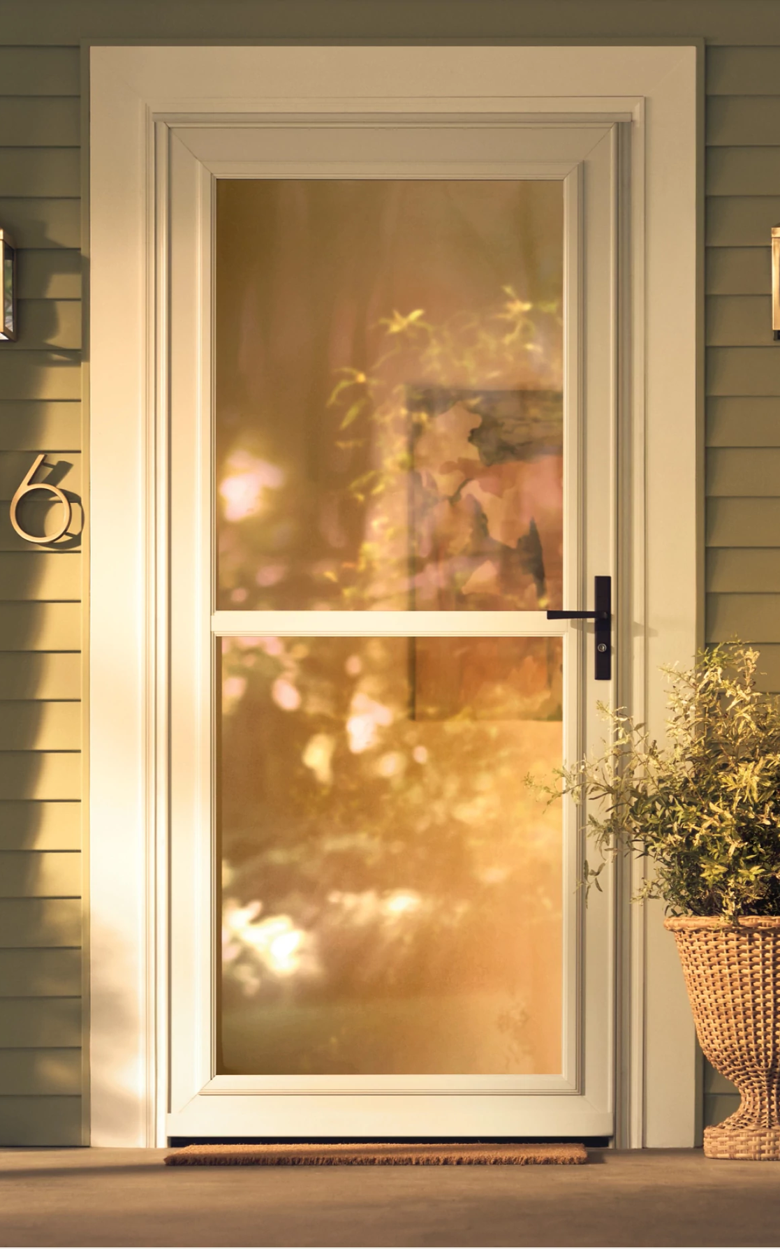 Larson storm door full view