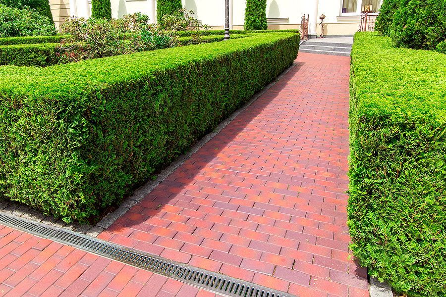 yard walkway with drainage