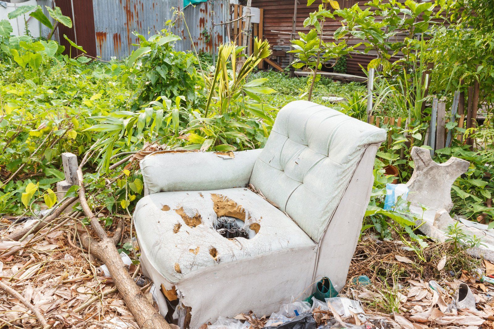 old chair in the backyard