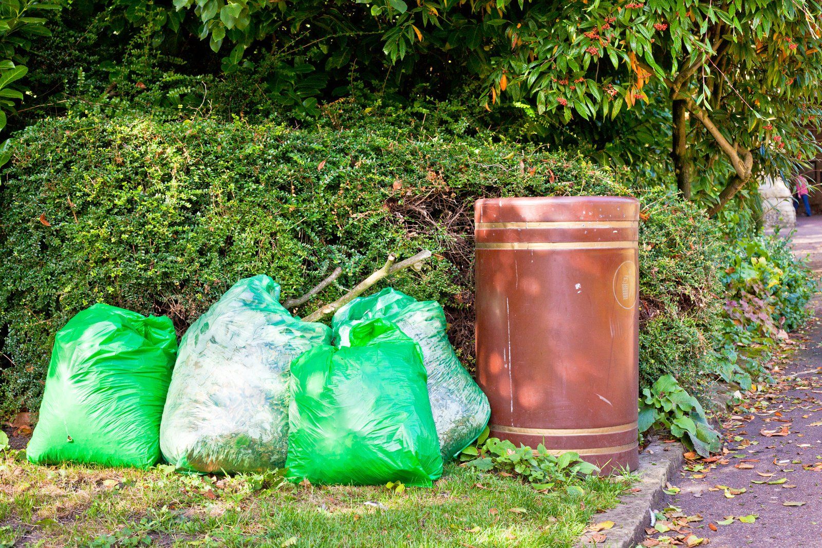 plastic bags beside trash can