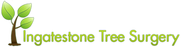 Ingatestone Tree Surgery logo
