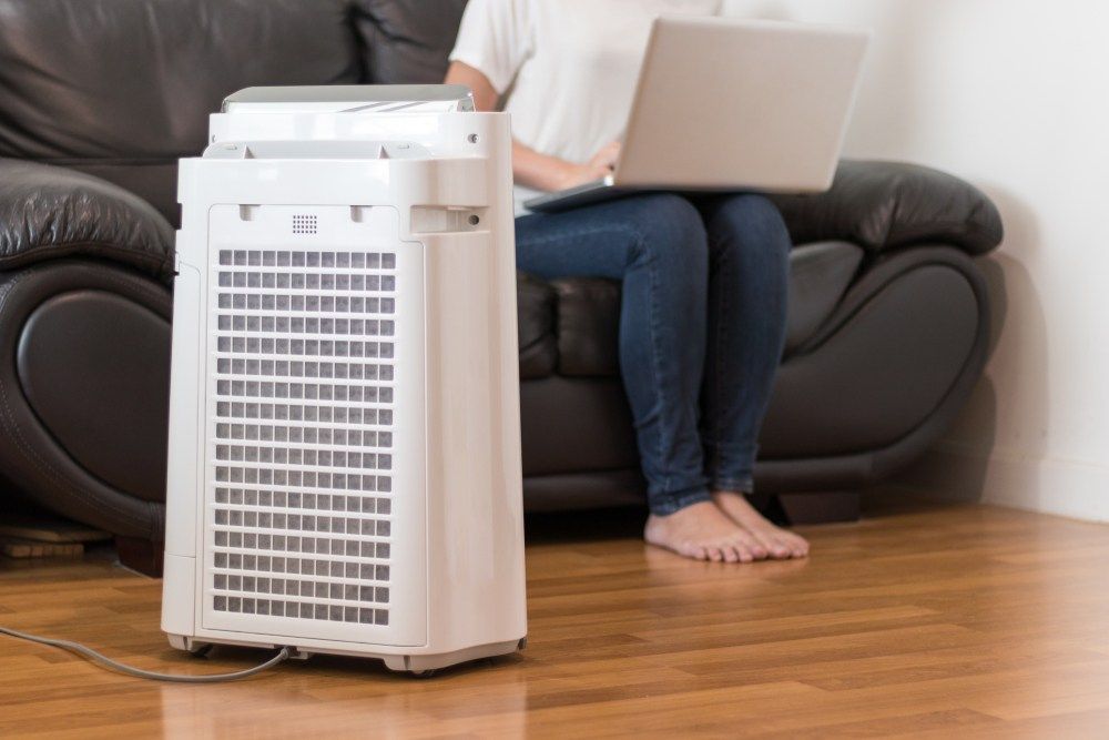 Woman Working on A Laptop Near an Air Purifier on A Wooden Floor — MAE Refrigeration In Smithfield, QLD