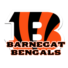 Logo for New Jersey AYF Jersey Shore in red and blue.