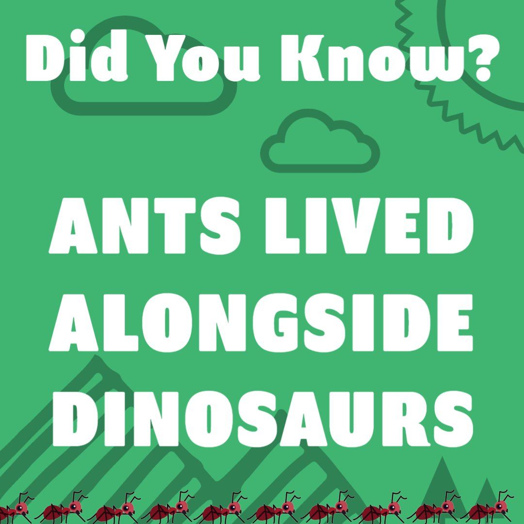 Ant Fact Number Twenty One