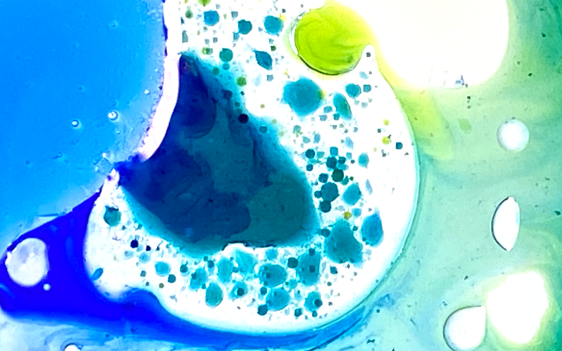 People build a structure with puzzle pieces, suggesting teamwork, growth, and problem-solving.