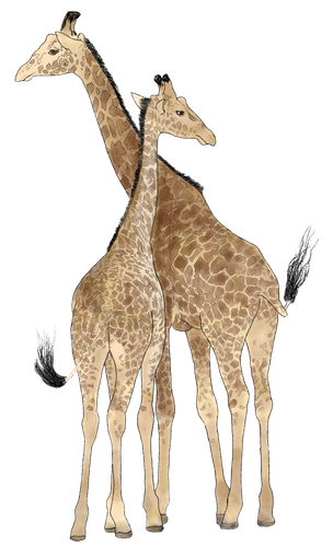 A digital illustration of two giraffes standing close together, facing left with their long necks slightly intertwined.