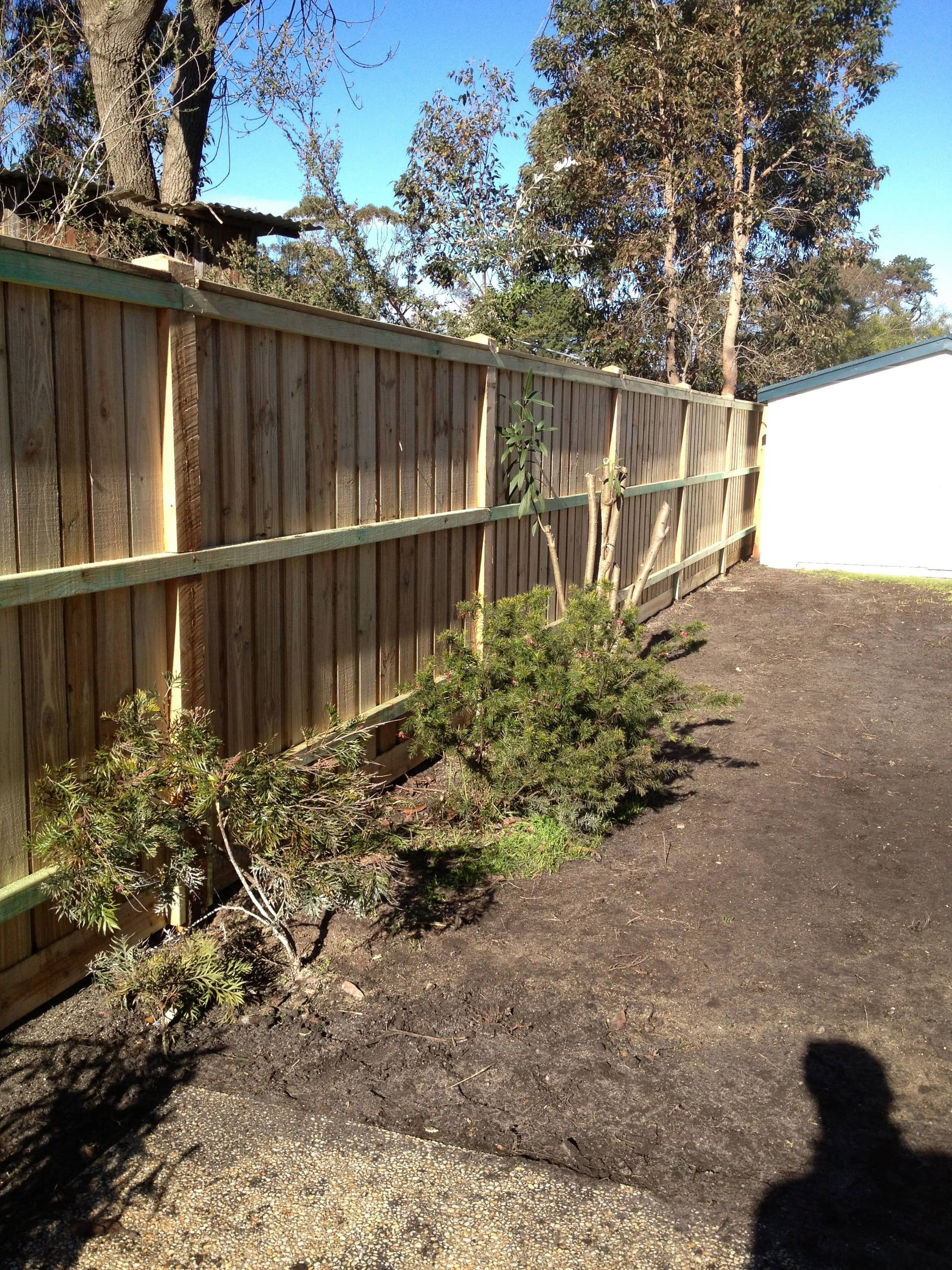 A wooden fence surrounds a backyard with trees in the background — Aztech Fencing In Upsalls Creek, NSW