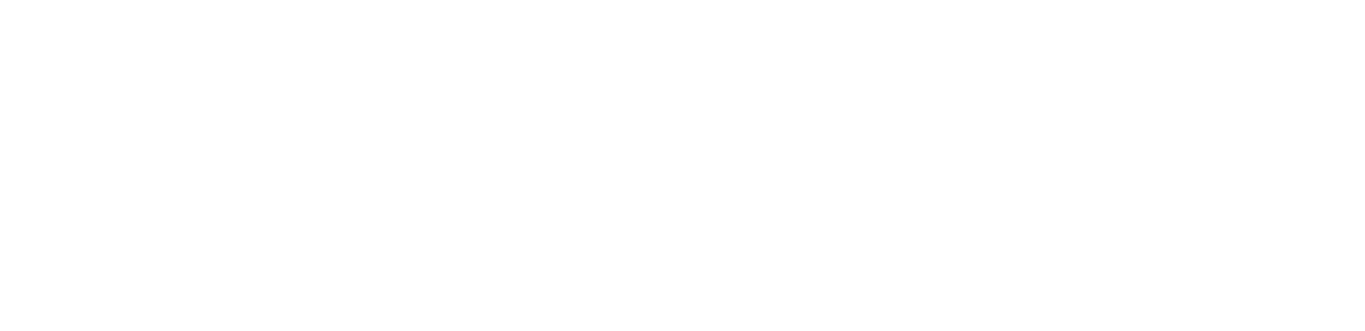 Shuffly, Nederlands Shuffleboard plezier sinds 2018