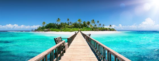 A wooden pier stretches over vibrant turquoise water toward a tropical island with lush palm trees under a bright sun.