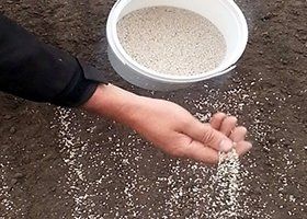 3 litre tub of pre-turfing