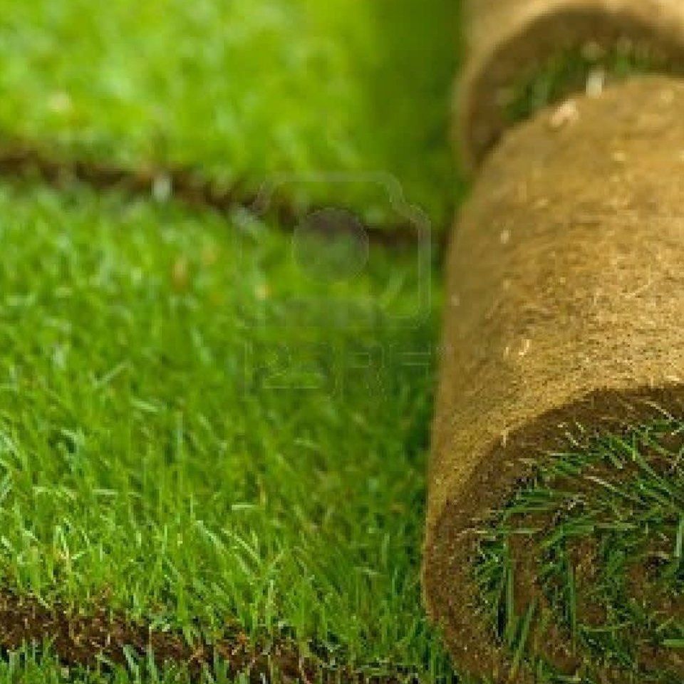 Deluxe family festival plus