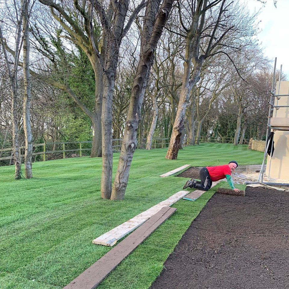 turf being laid in a field with trees