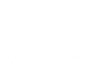 A white background with a few lines on it