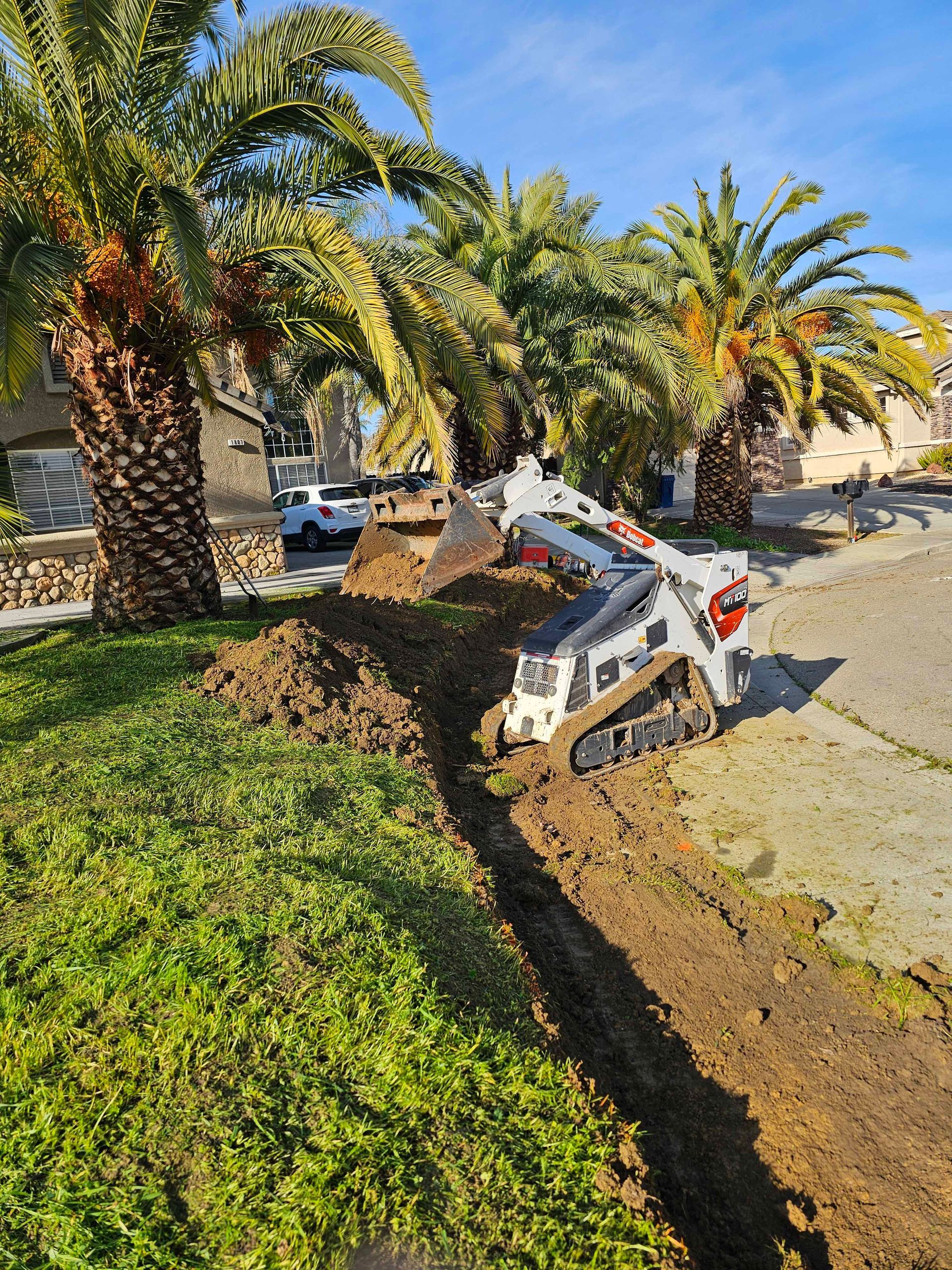 Bobcat skid steer digging a trench along a residential street next to grass and palm trees.