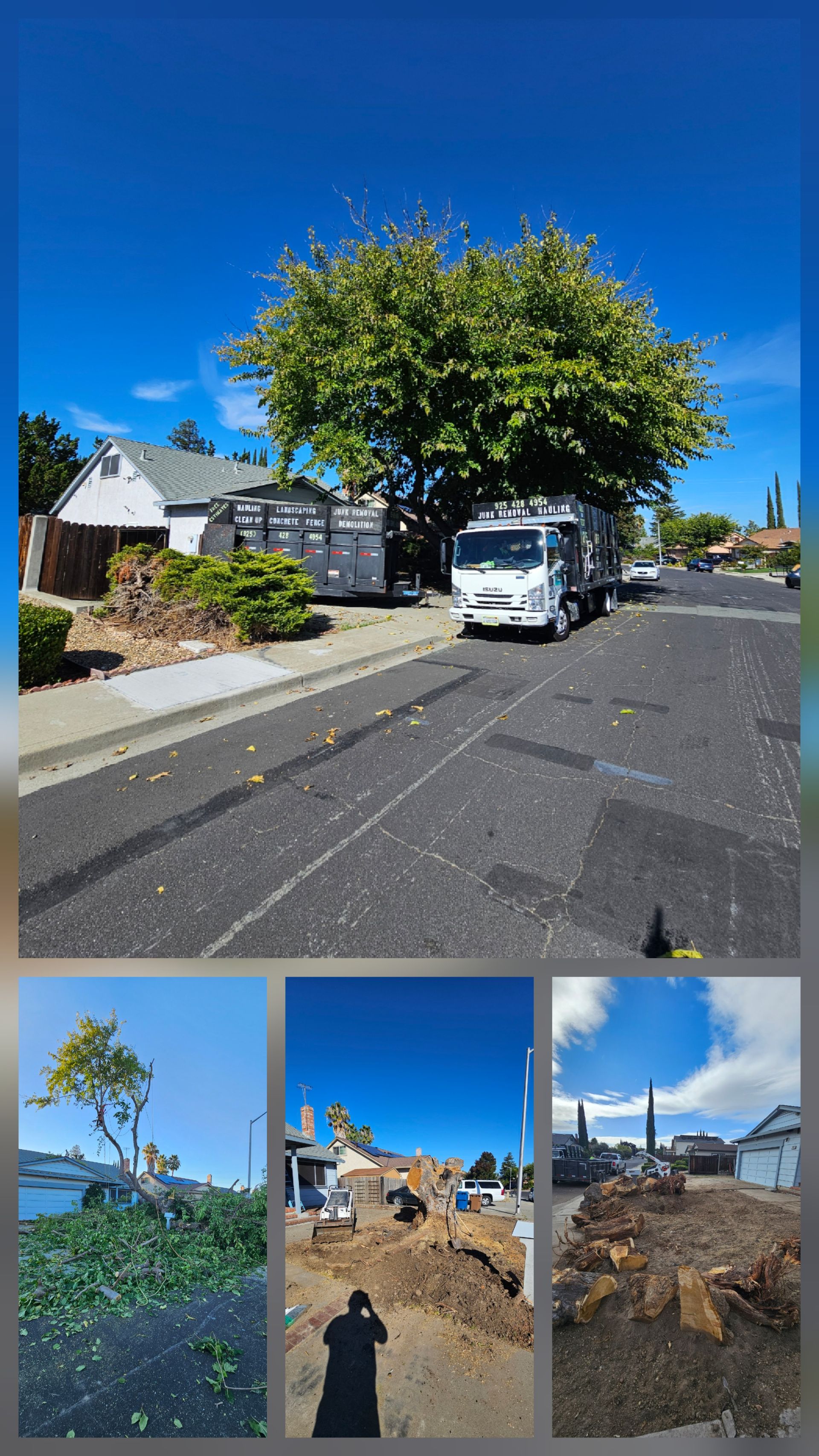 Truck parked on street near a tree, with three inset photos below showing tree debris and damage.