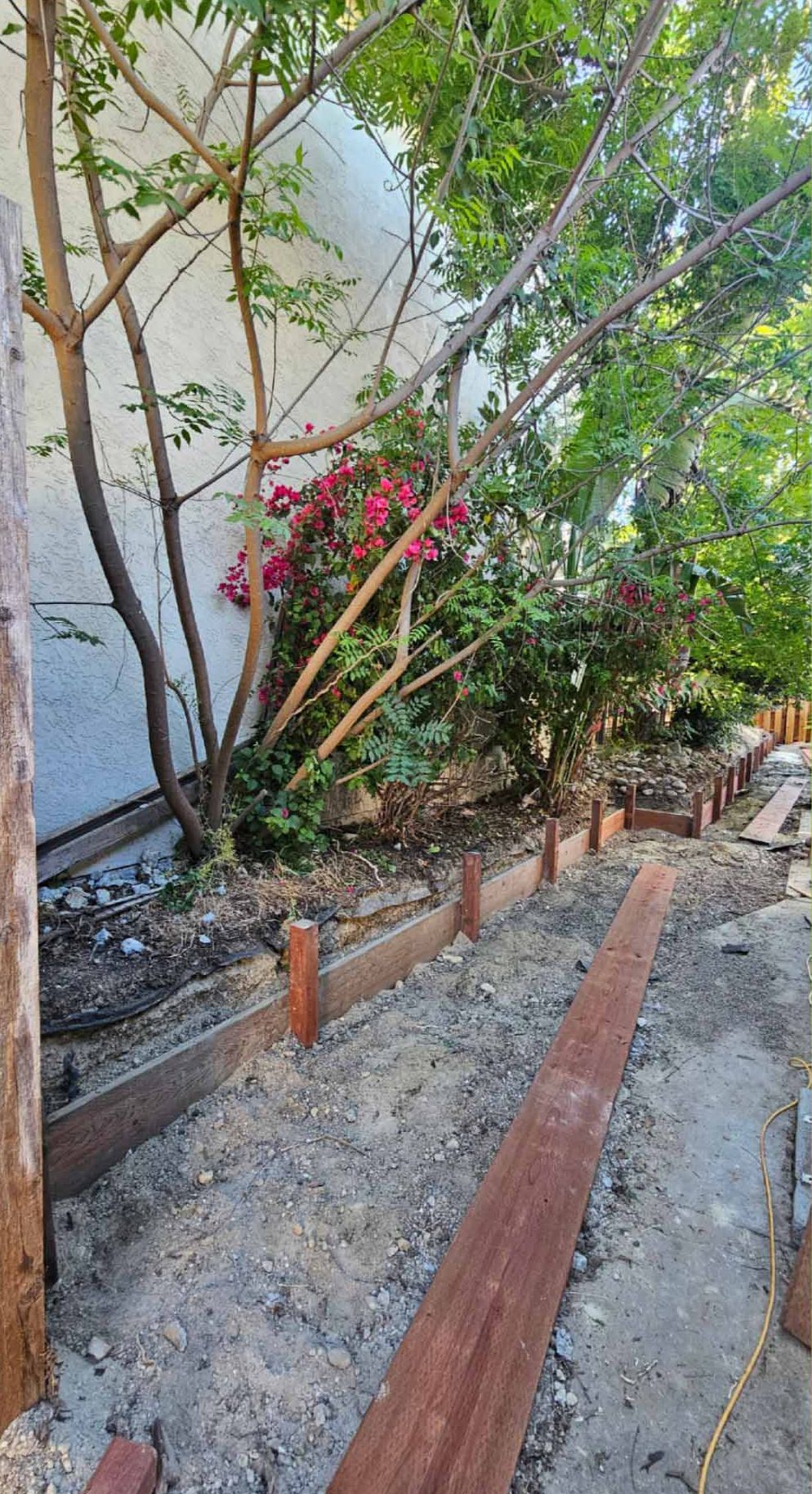 Construction site: wooden forms outline a trench beside a white wall with blooming bougainvillea and trees.