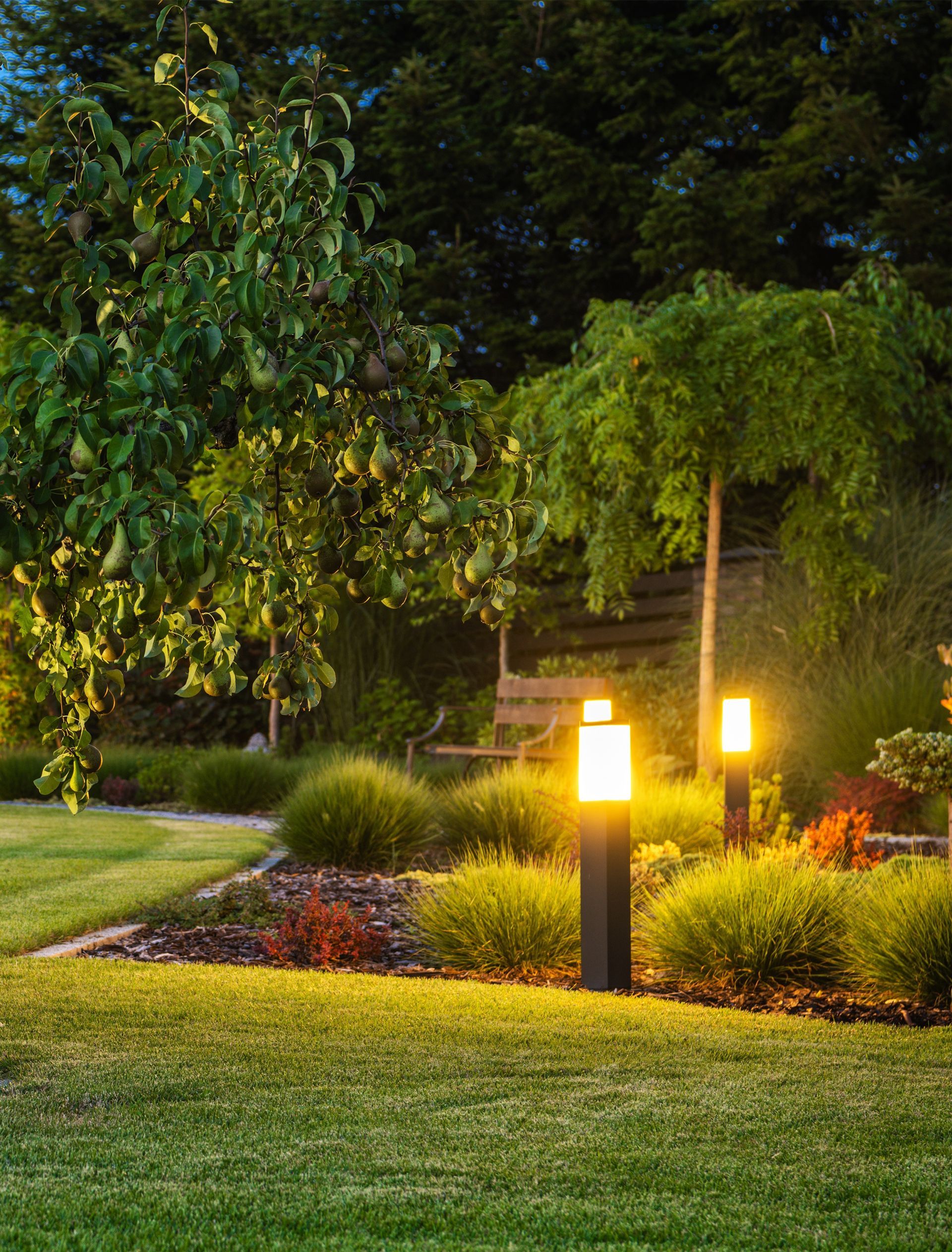 Illuminated garden at dusk with lampposts, shrubs, and trees.