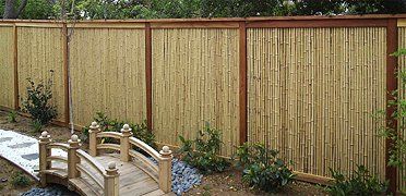 Bamboo Fence and Bridge