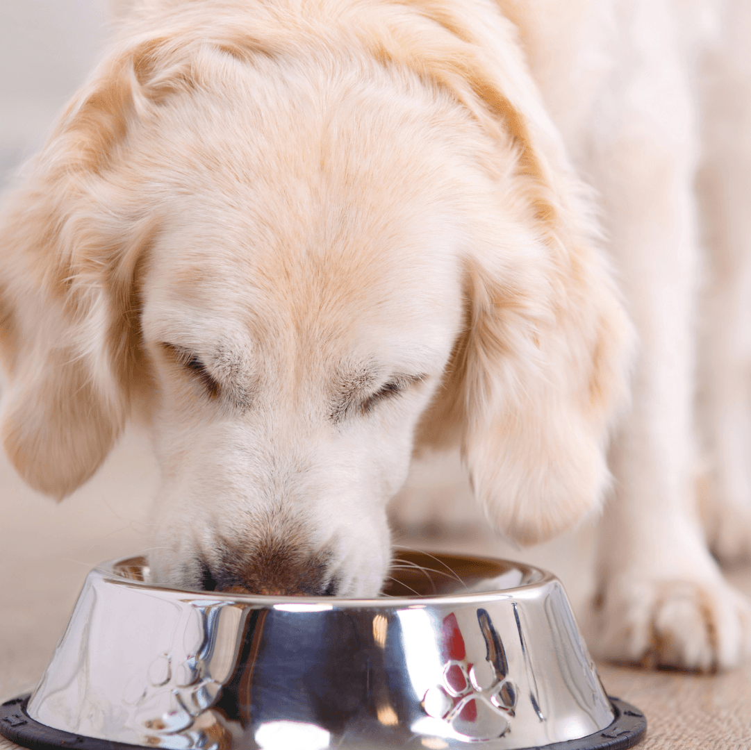 criaçao de e-commerce