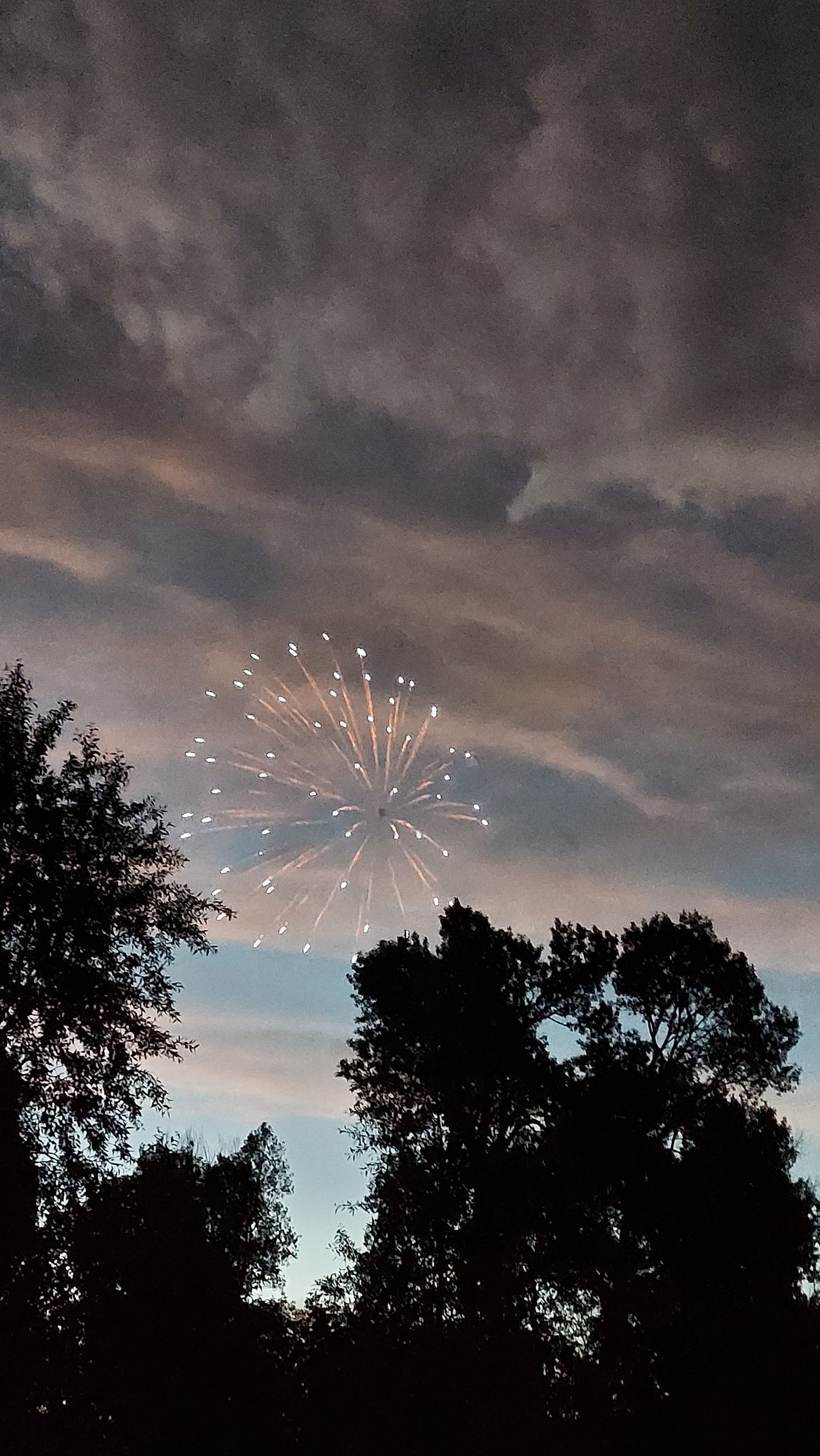 firework-in-sky