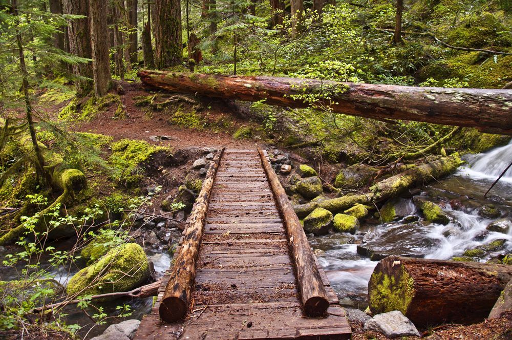 bridge-trail
