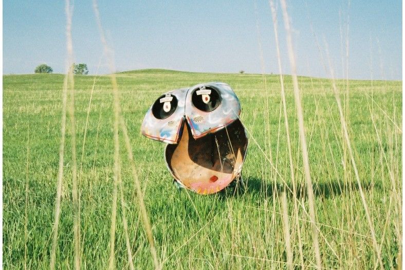 A cartoon character is standing in a field of tall grass.