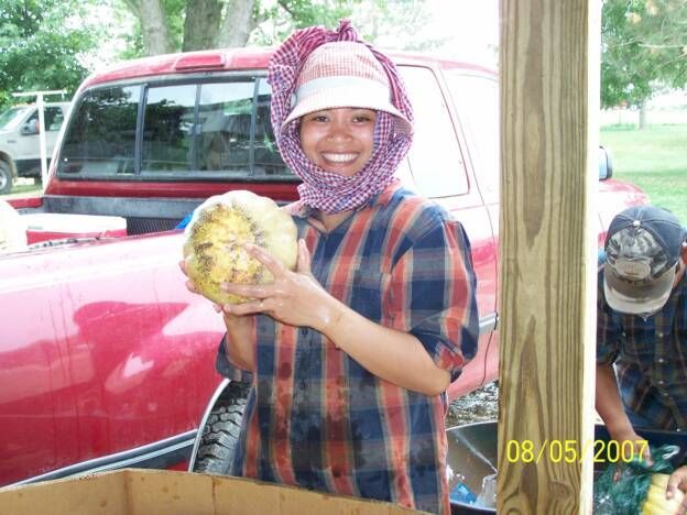 A woman in a plaid shirt is holding a cantaloupe in front of a red truck