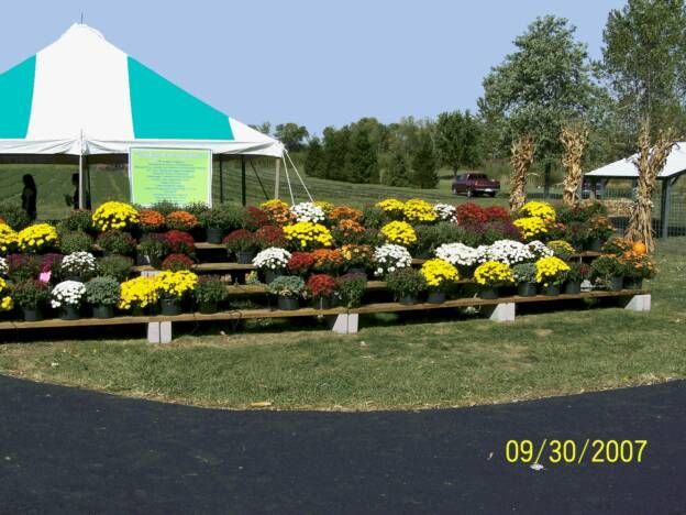 A bunch of flowers are on display in front of a green and white tent