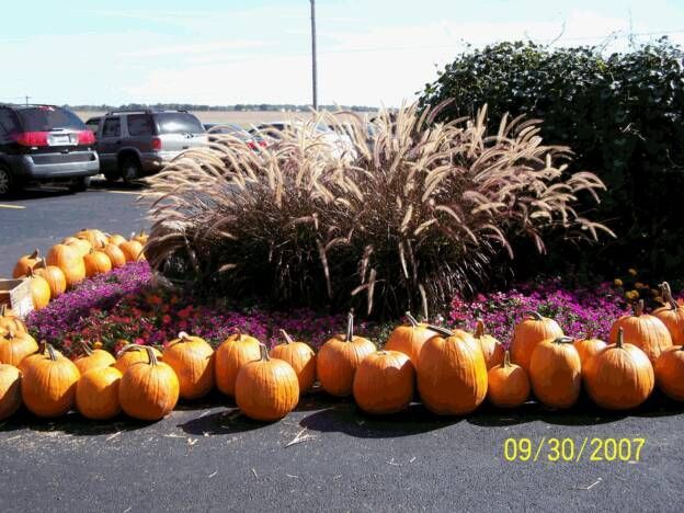 A bunch of pumpkins in a parking lot with the date 09/30/2007