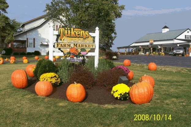 A sign for the tukens farm market is surrounded by pumpkins and flowers