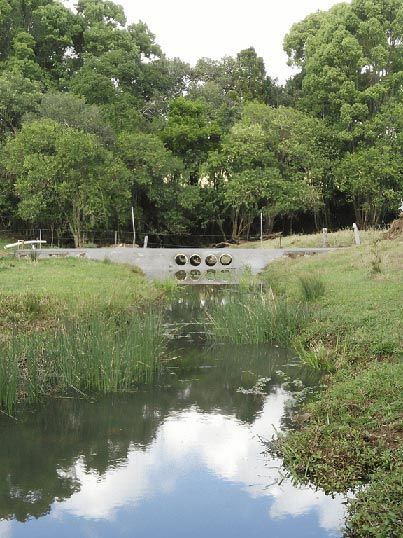 A concrete pathway has been built over a stream in a paddock — Wayne Hall Concreting in South Lismore, NSW