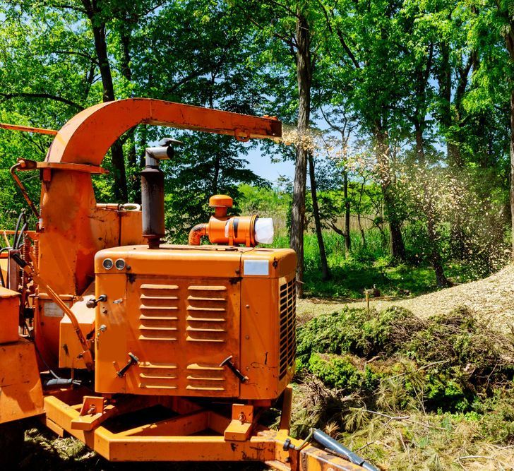 An Orange Machine is Cutting Down Trees in the Woods — All Australian Tree & Palm Services In Mount Coolum, QLD