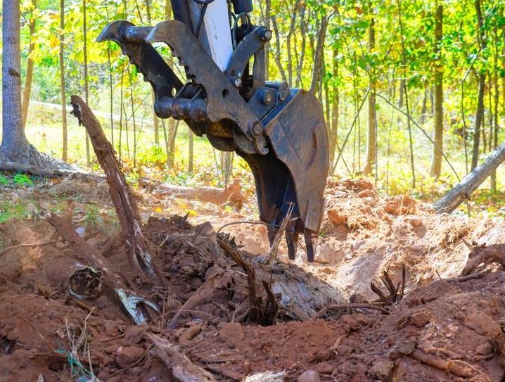 A Bulldozer is Digging a Hole in the Ground in the Woods — All Australian Tree & Palm Services In Mount Coolum, QLD