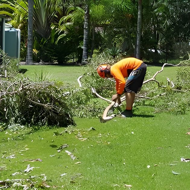 A Man is Kneeling Down in the Grass Cutting a Tree Branch — All Australian Tree & Palm Services In Mount Coolum, QLD