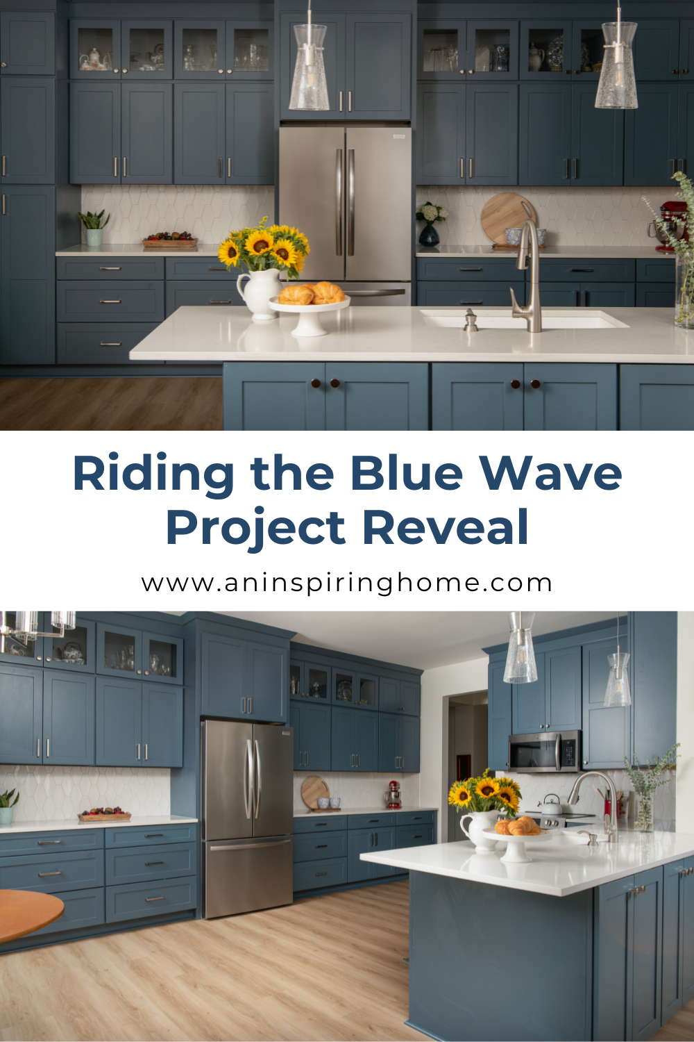 Riding the Blue Wave Project Reveal