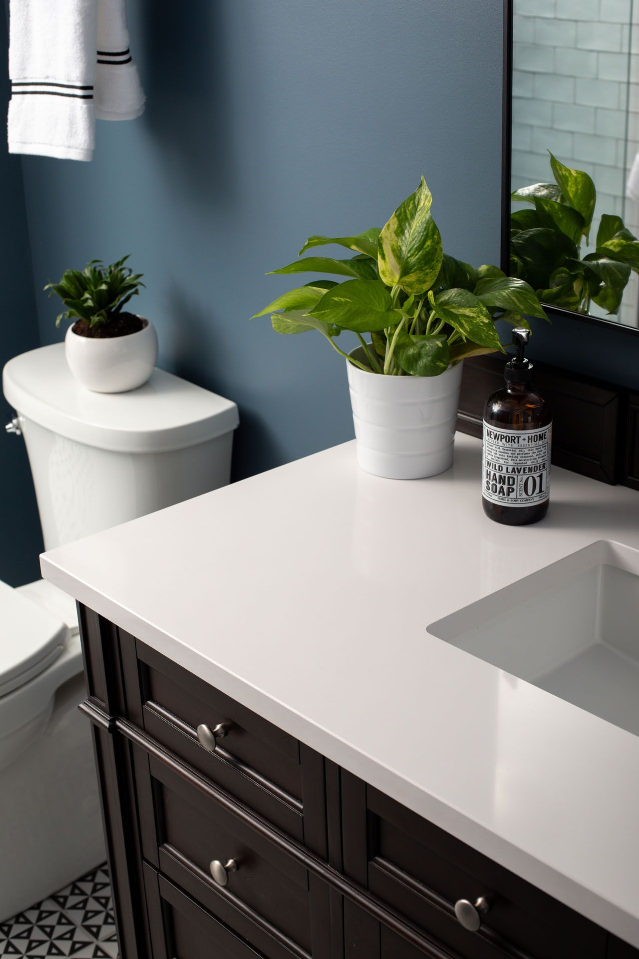 A bathroom with a sink , toilet , and plant on the counter.