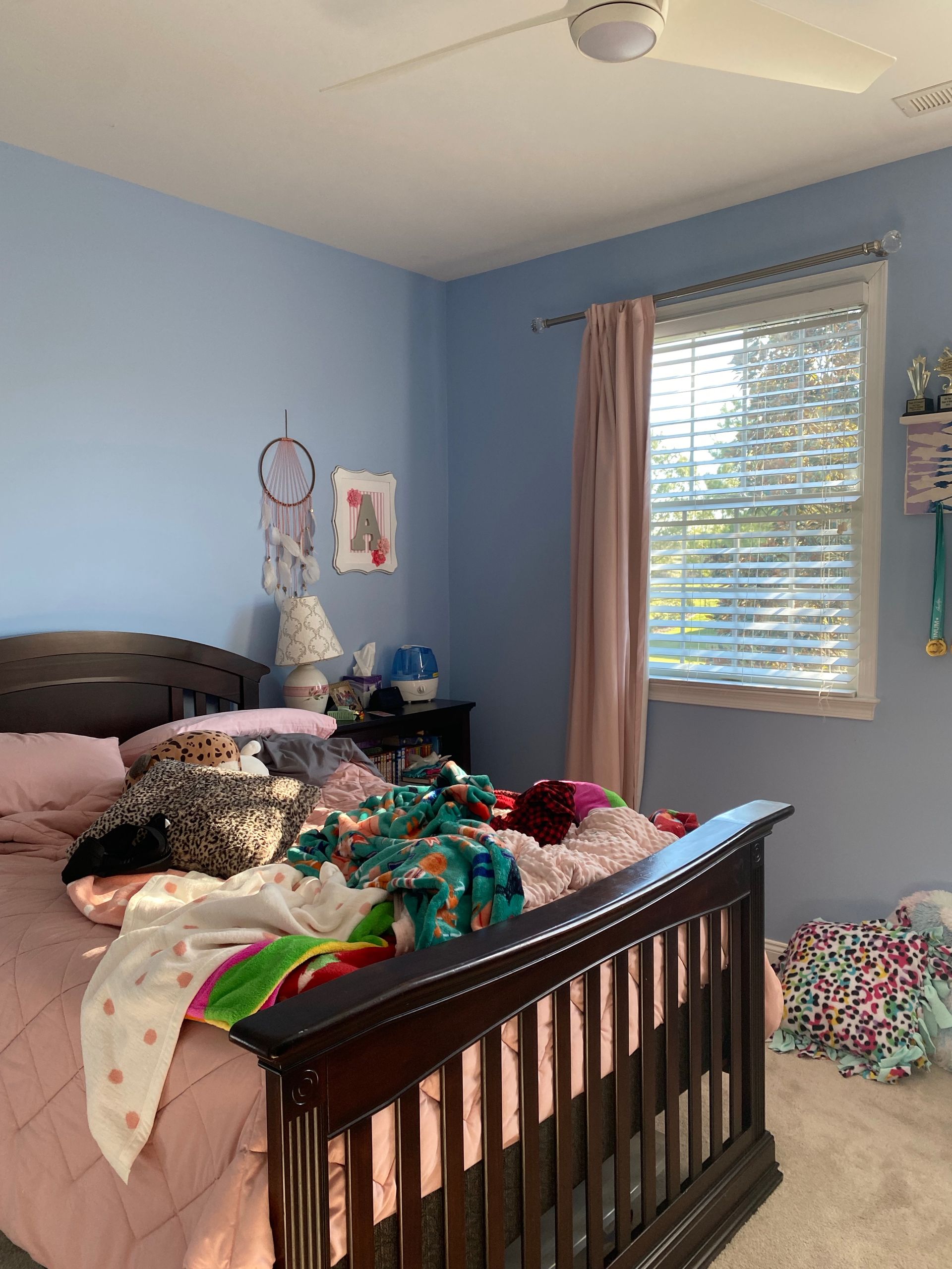 A Recap of Our Projects from 2023