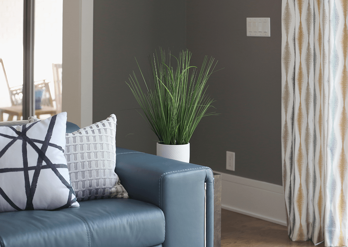 Modern Retreat Blue Couch and Plant | India Land, NC | An Inspiring Home